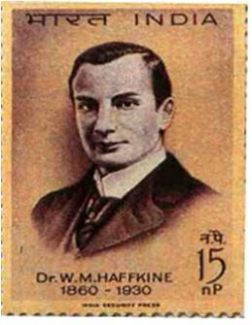 Haffkine WM (1900)